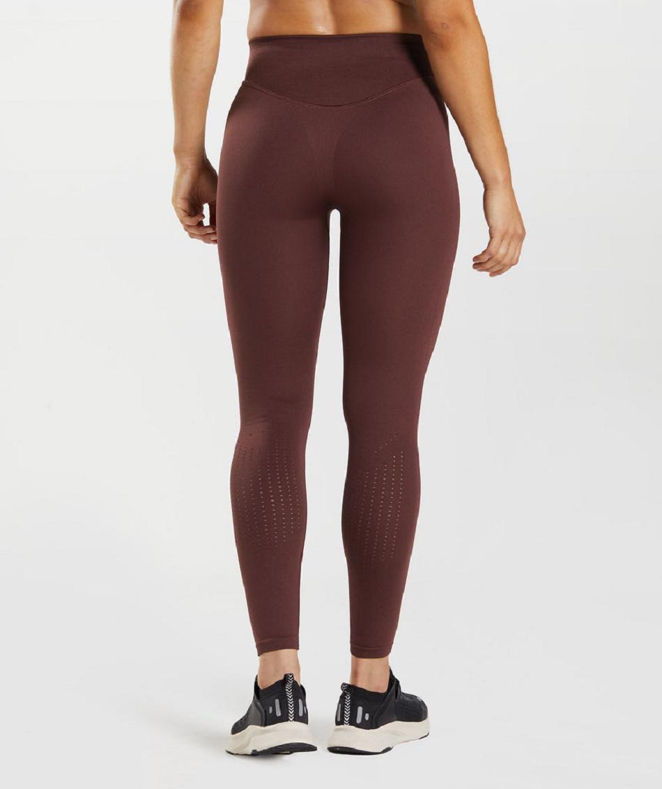 Gymshark Sweat Seamless Sculpt Ženske Tajice Bordo | HR 4005GSO